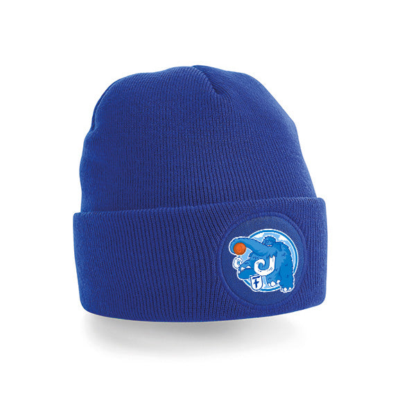 FTSC Logo Beanie royal