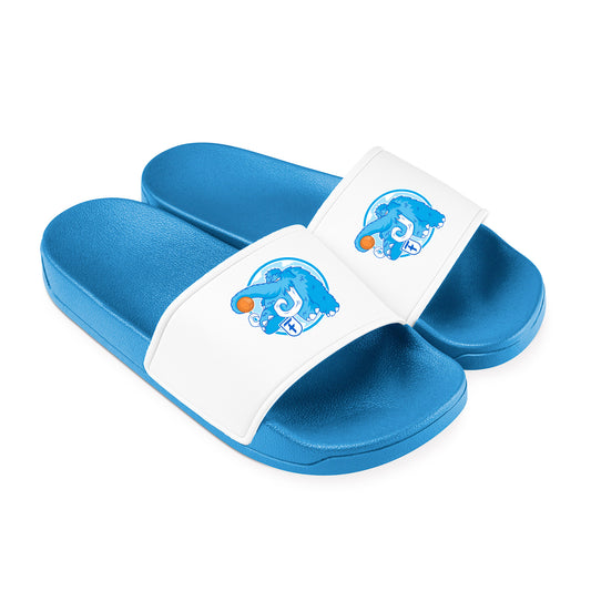 FTSC Badeschlappen – Team Slides