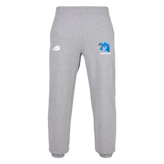 FTSC Sweatpants grau