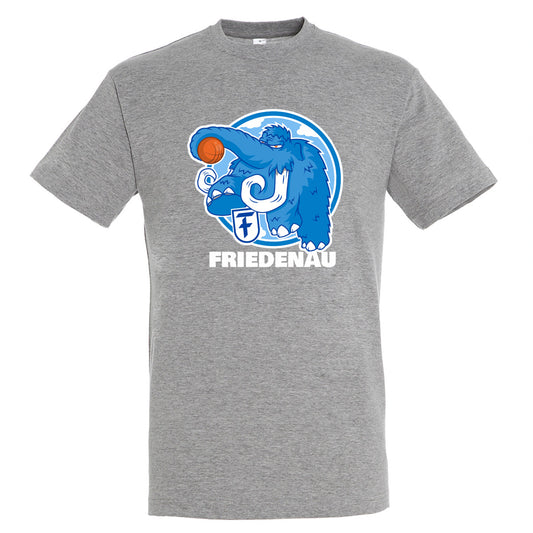 FTSC Logo T-Shirt grau