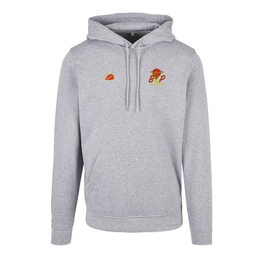Basketballverband Pfalz Elite Hoodie grau