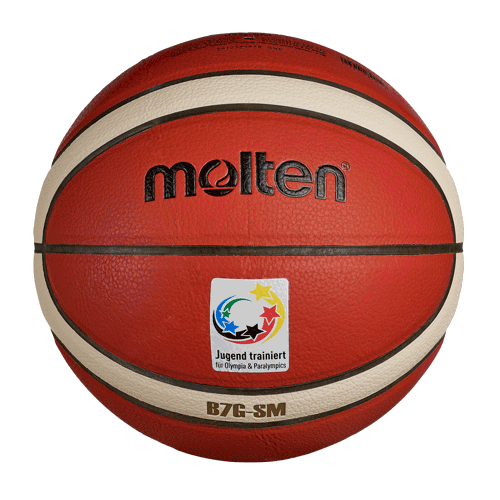 School MasteR Basketball B7G-SM