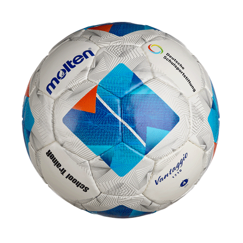 School TraineR Fußball F4N-ST